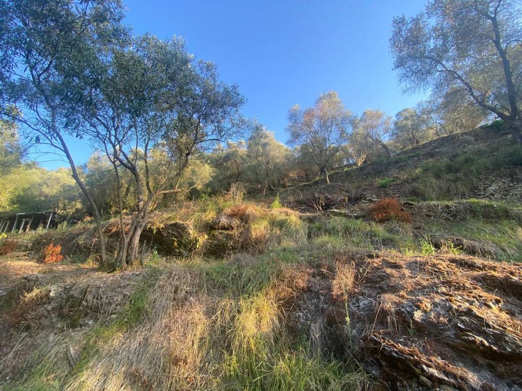 Terreno a Albenga in Via Corsica - Foto 4