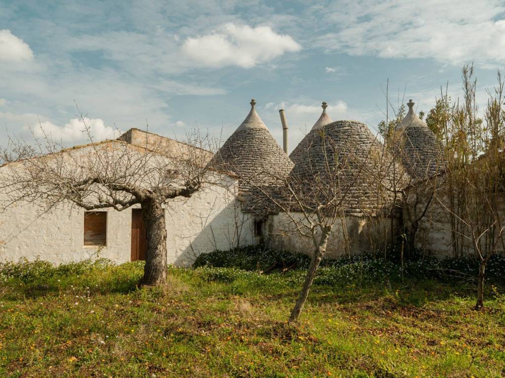 Rustico / casale a Castellana grotte in Strada Comunale Centrone Piccolo - Foto 1