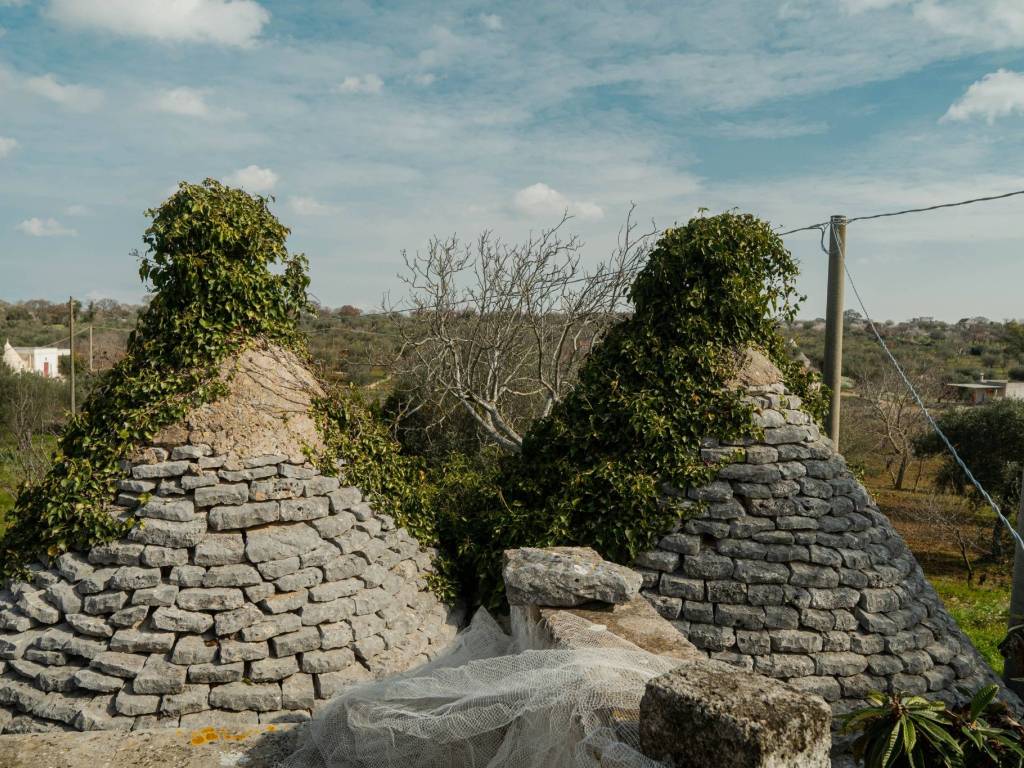 Rustico / casale a Castellana grotte in Strada Comunale Centrone Piccolo - Foto 4