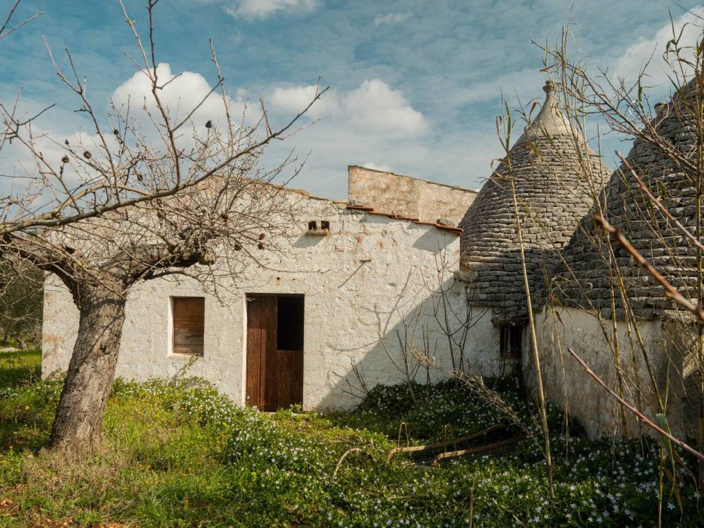 Rustico / casale a Castellana grotte in Strada Comunale Centrone Piccolo - Foto 5