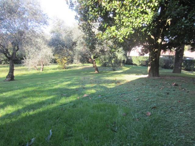 Villa a Rossano veneto - Foto 2