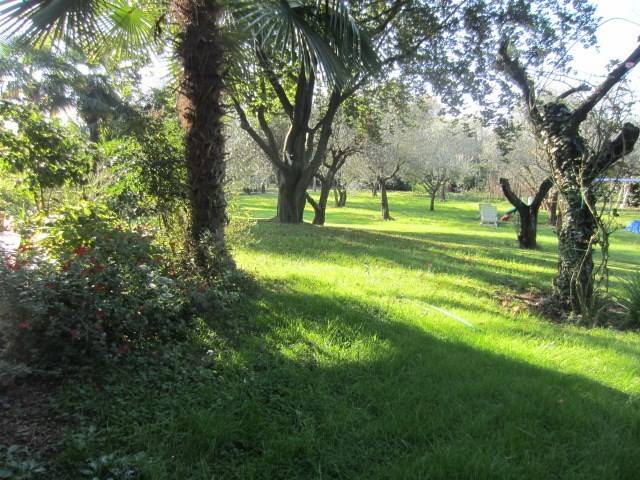 Villa a Rossano veneto - Foto 3