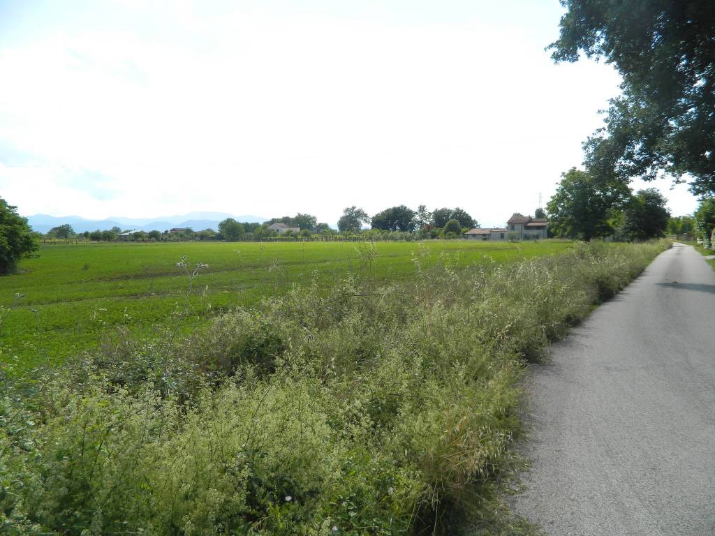 Terreno a Roccasecca in via Campo del Medico, 10 - Foto 4
