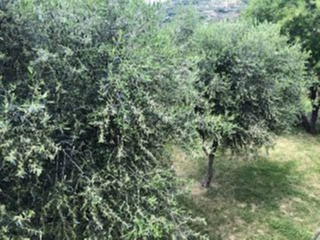Villa a Bordighera in Strada Giambranca - Foto 4