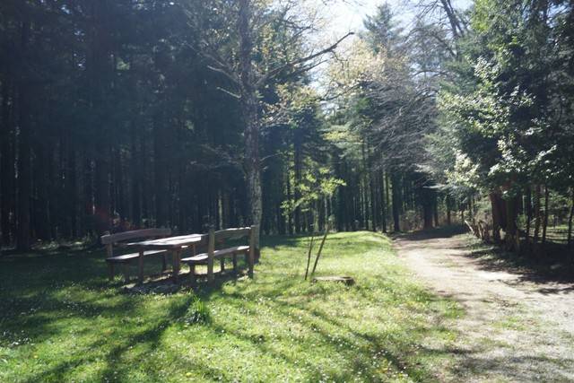 Appartamento a Serra san bruno - Foto 4