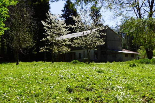 Appartamento a Serra san bruno - Foto 5