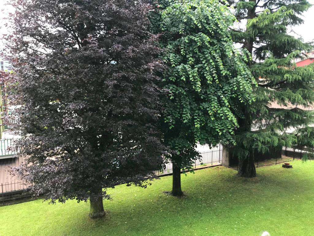 Appartamento a Ballabio in Via Provinciale - Foto 2