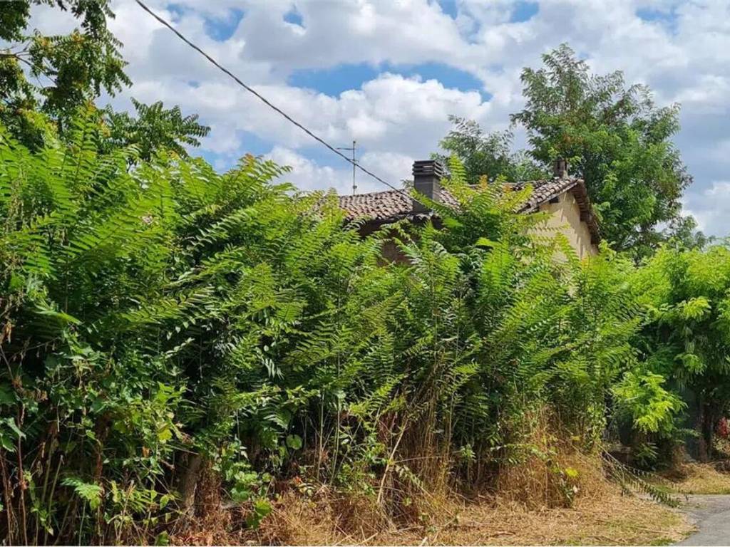 Rustico / casale a Castelfranco emilia in Via Buonvino S.N.C. - Foto 5