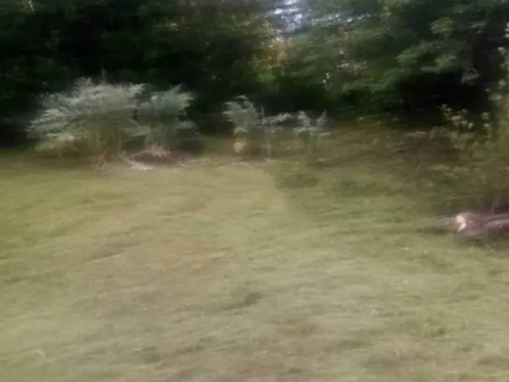 Casa indipendente a Roccaspinalveti in Corso Umberto I - Foto 2