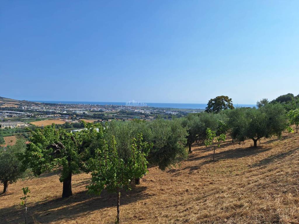 Terreno a Colonnella in contrada san giovanni - Foto 2