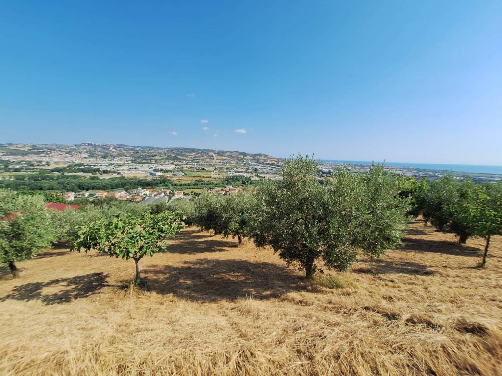 Terreno a Colonnella in contrada san giovanni - Foto 3