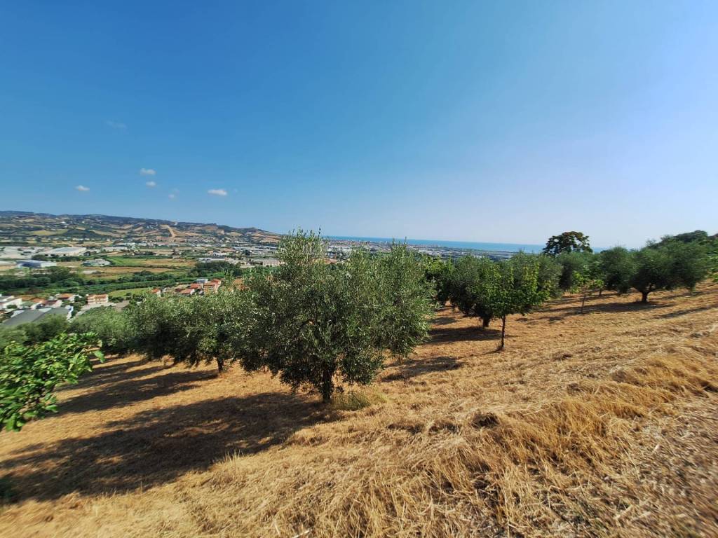 Terreno a Colonnella in contrada san giovanni - Foto 4