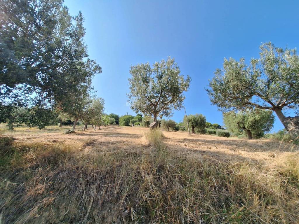 Terreno a Colonnella in contrada san giovanni - Foto 5