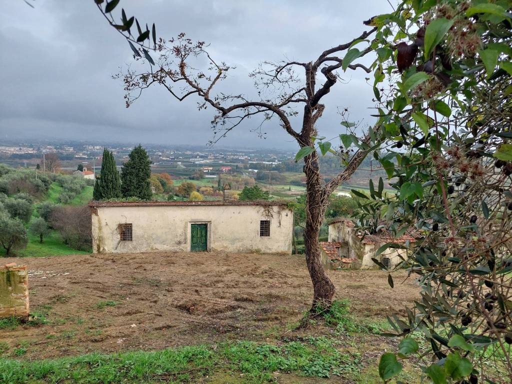 Rustico / casale a Pistoia in Via Tazzerina e Sardigna - Foto 2