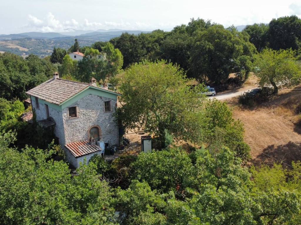 Rustico / casale a Orte in SP30 - Foto 4