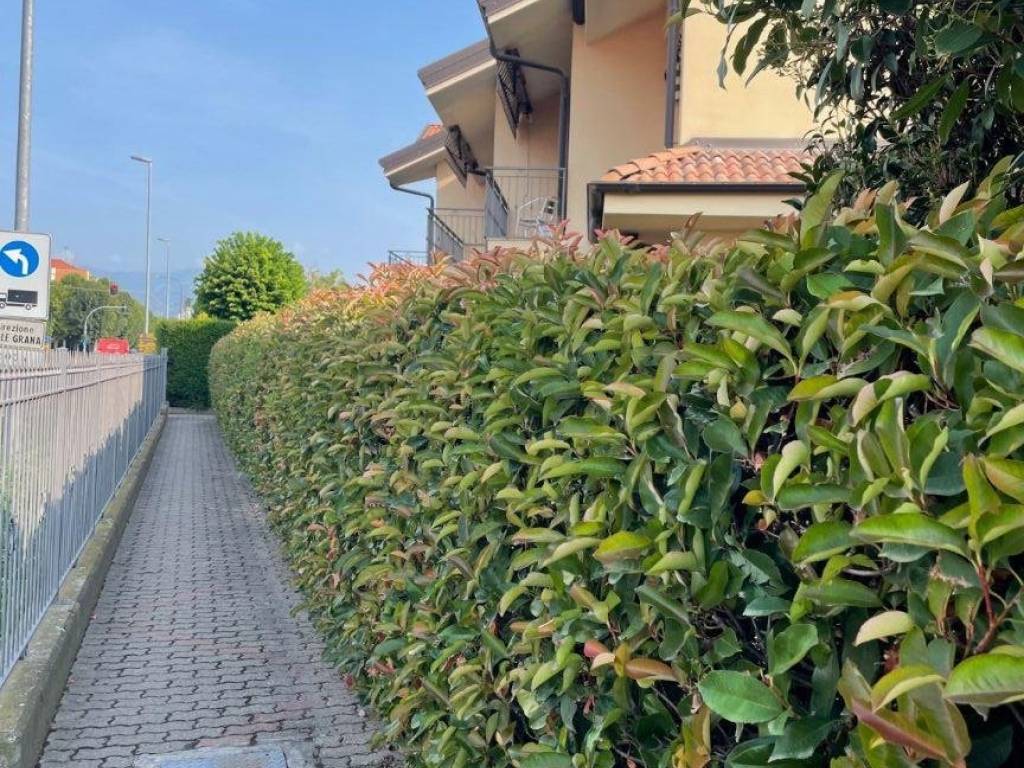 Appartamento a Caraglio in Via Vecchia del Borgo, 17 - Foto 3