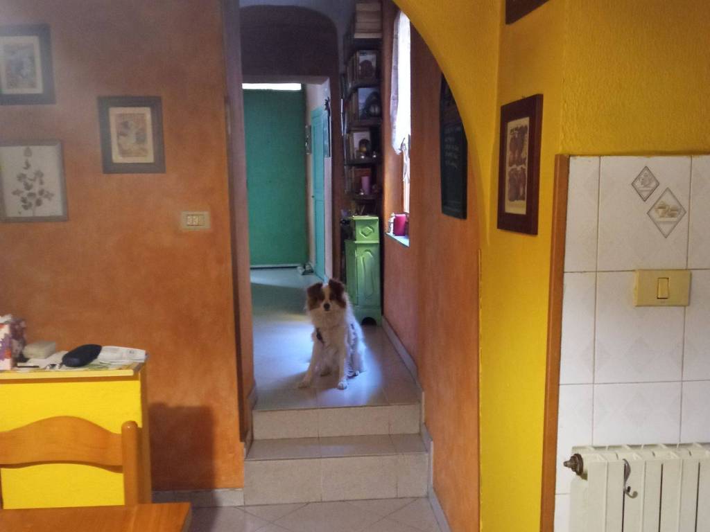 Appartamento a Ventimiglia in Calvo s.n.c - Foto 4