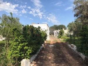 Rustico / casale a Ceglie messapica in contrada fedele piccolo - Foto 2