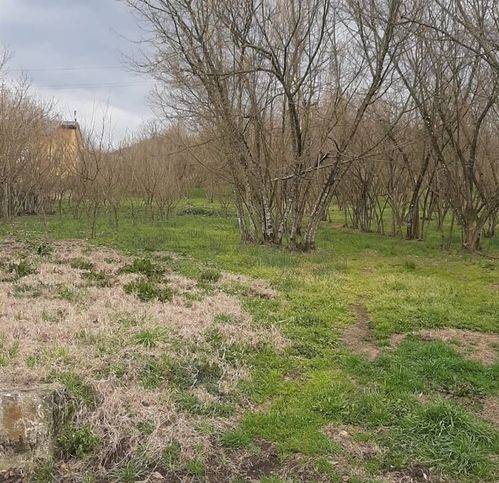 Terreno a Montefredane in Via Bosco Magliano - Foto 3