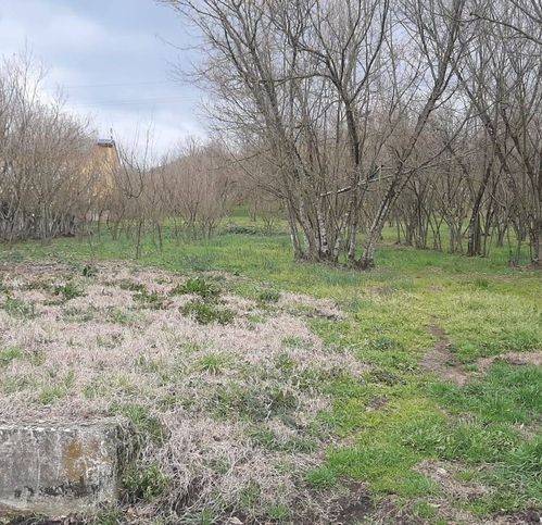 Terreno a Montefredane in Via Bosco Magliano - Foto 5