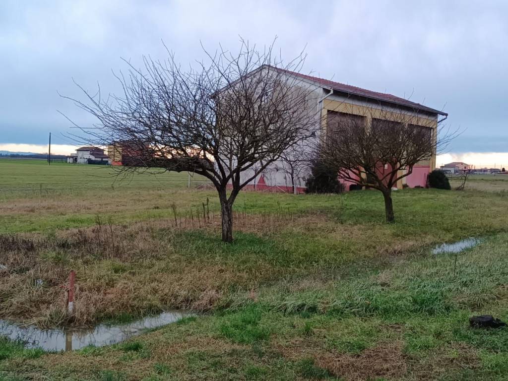 Immobile a Sissa trecasali in Via Aldo Moro - Foto 3