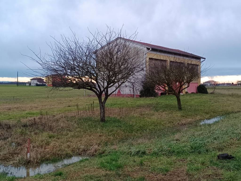 Immobile a Sissa trecasali in Via Aldo Moro - Foto 4