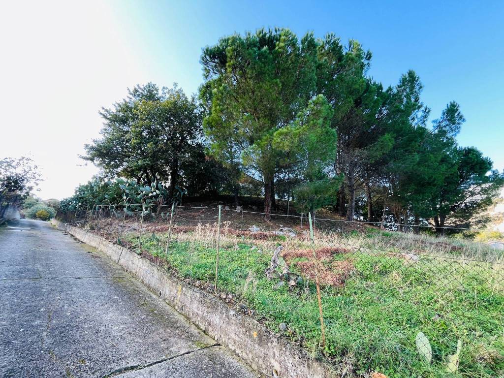 Palazzo / stabile a Collesano in Contrada Croce - Foto 5