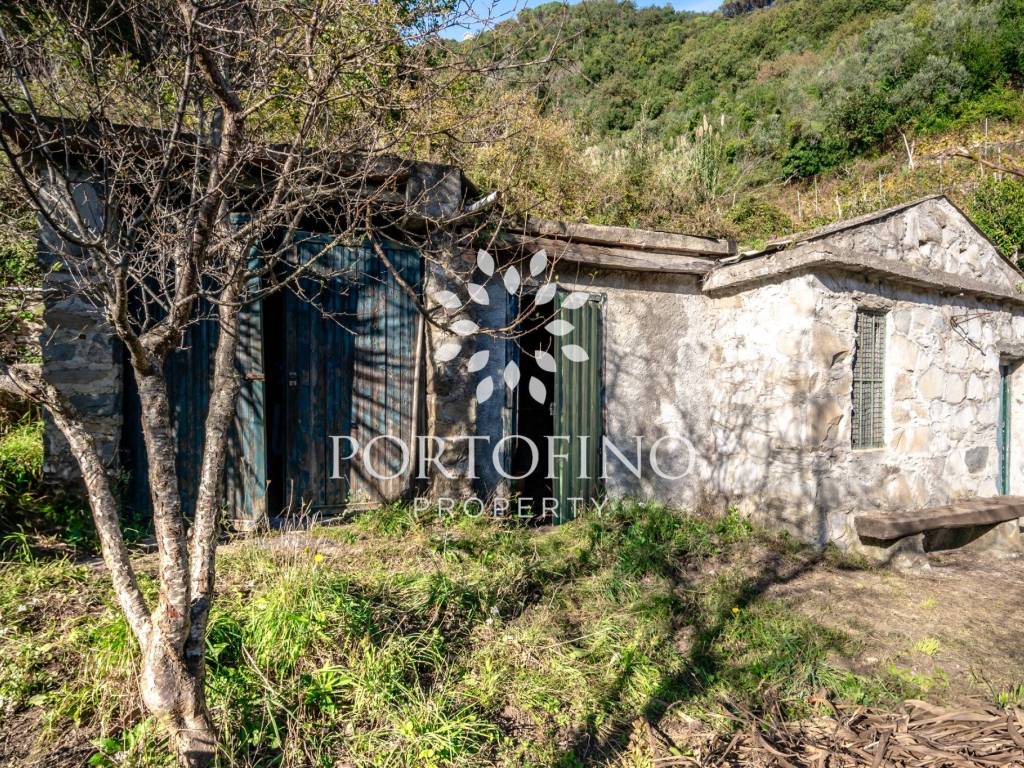 Rustico / casale a Vernazza in Vernazzola - Foto 4