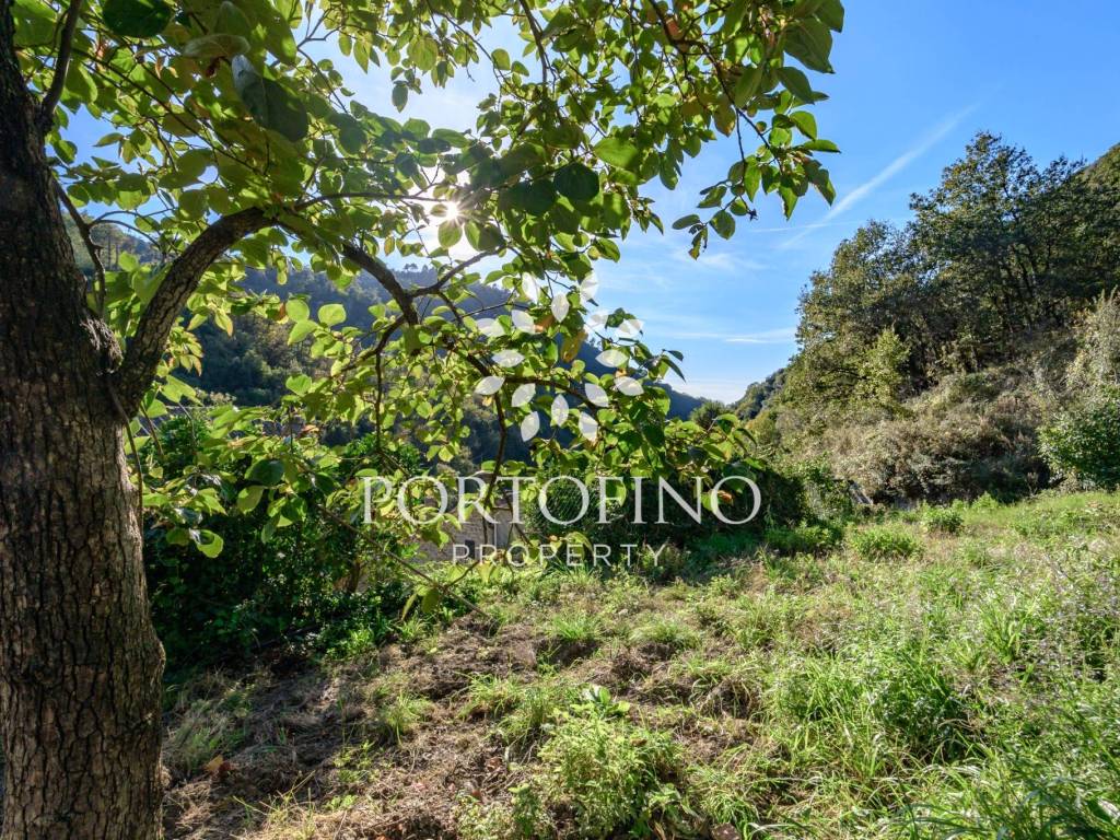 Rustico / casale a Vernazza in Vernazzola - Foto 5