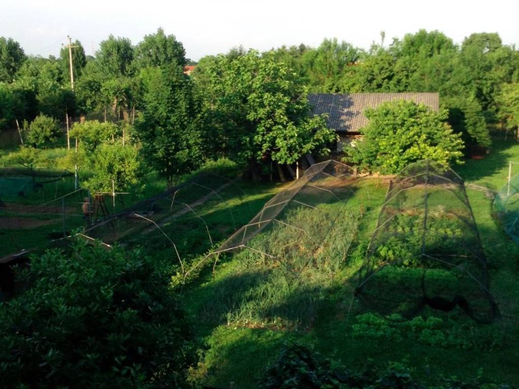 Villa a Dueville - Foto 2