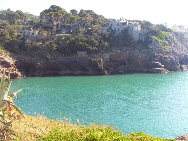 Villa a Orbetello in Via delle Mimose - Foto 3
