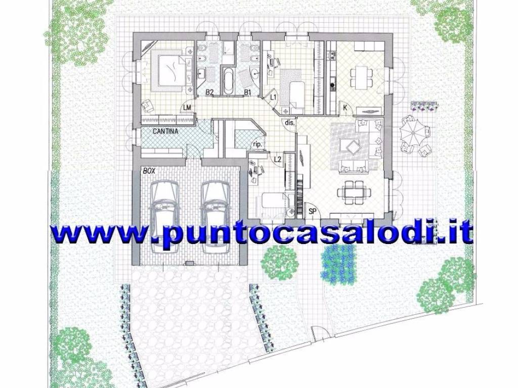 immagine di copertina