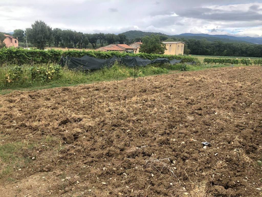 Terreno a Anghiari in Motina - Foto 4