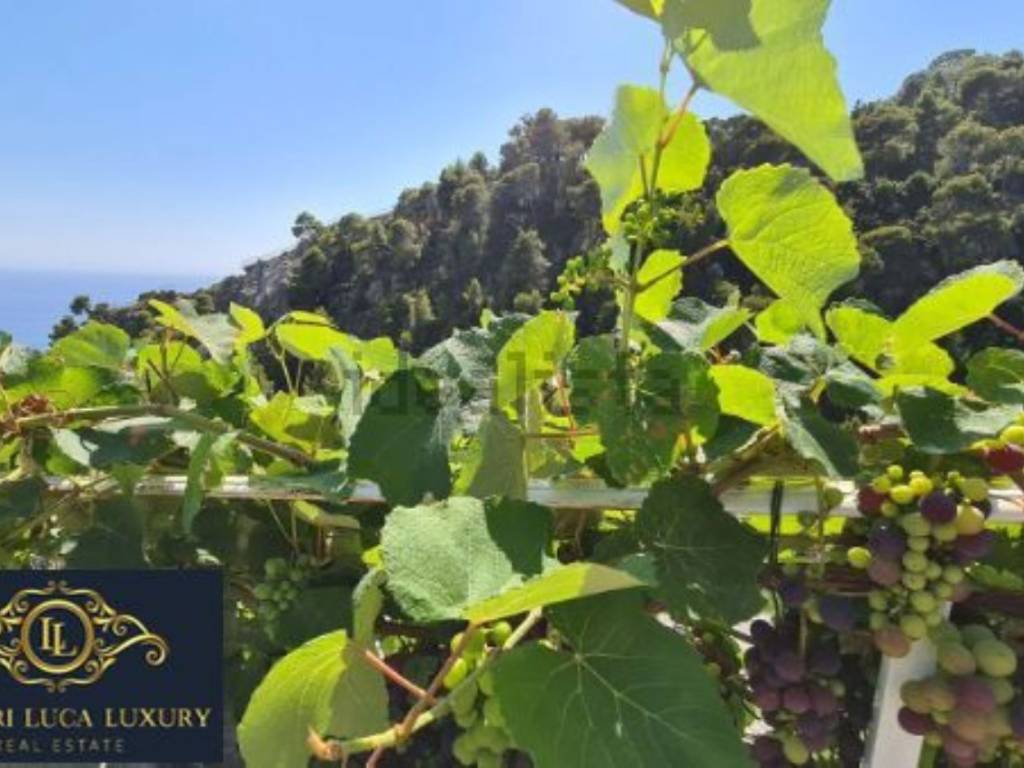 Villa a Ventimiglia in Via Ciabauda s.n.c - Foto 5