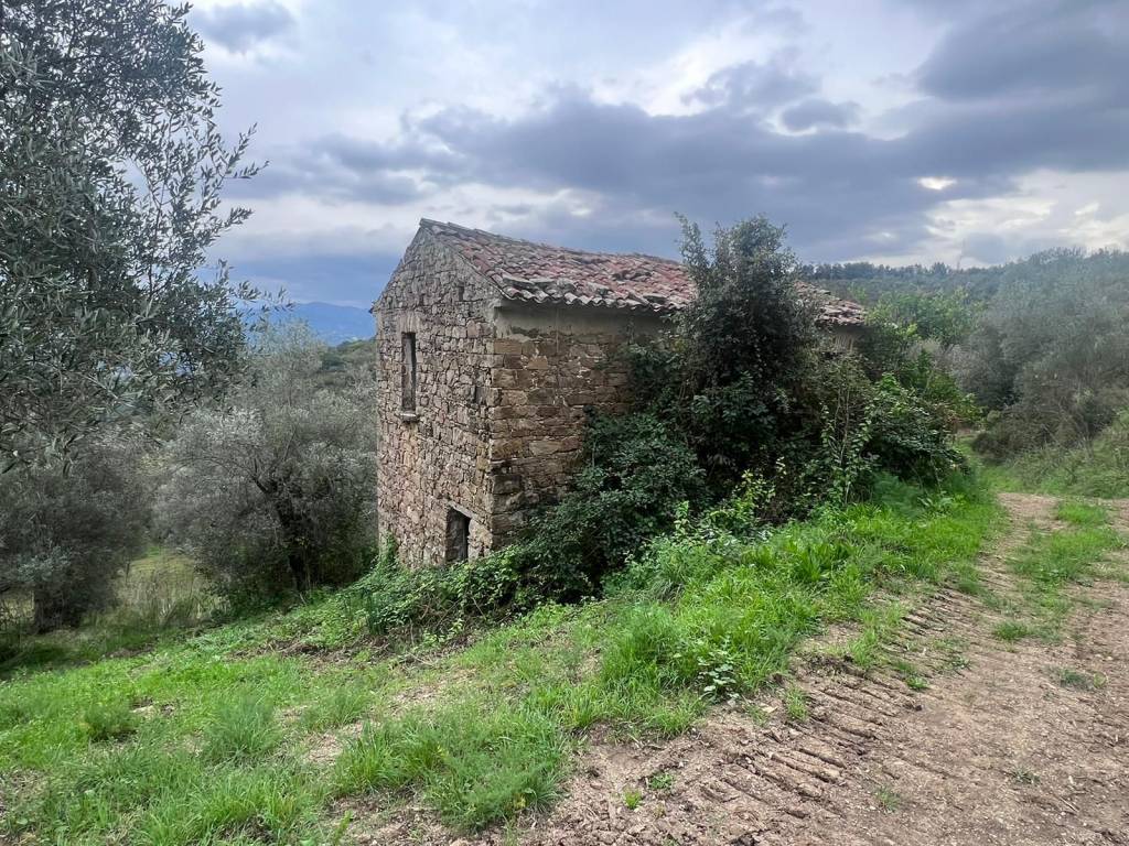 Terreno a Prignano cilento - Foto 2