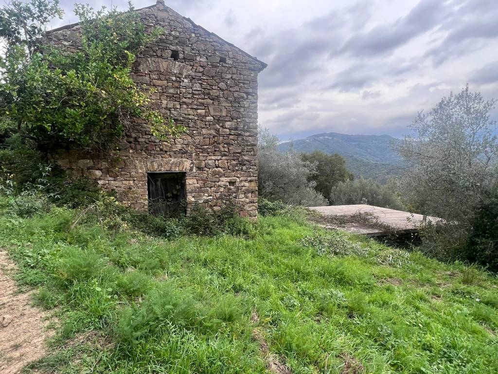 Terreno a Prignano cilento - Foto 3