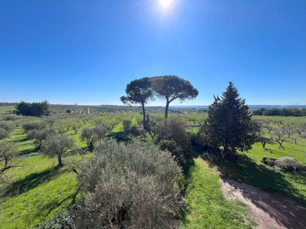 Rustico / casale a Ruvo di puglia in Strada Vicinale Vittorio Alfieri - Foto 2