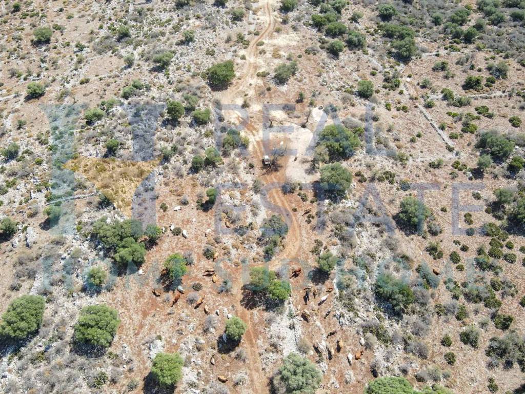 Rustico / casale a Noto in Via Tommaso Fazello - Foto 2