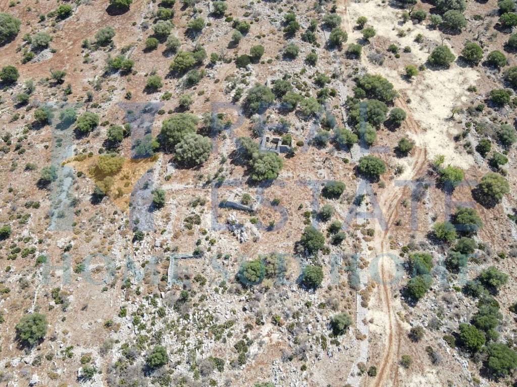 Rustico / casale a Noto in Via Tommaso Fazello - Foto 3