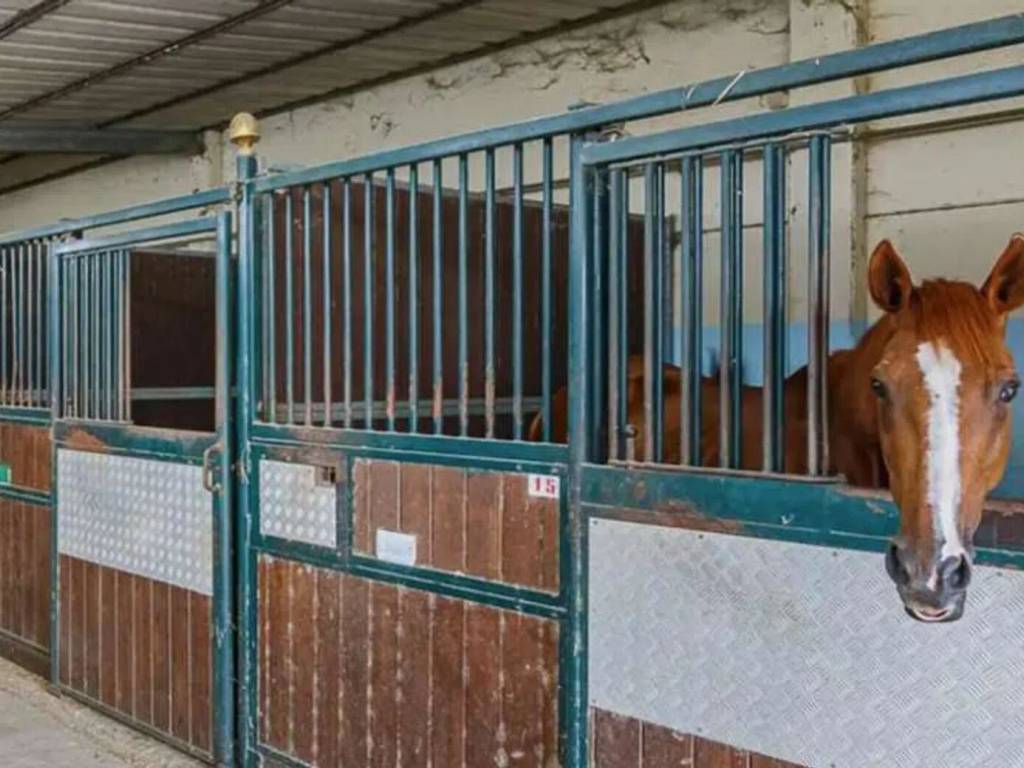 Rustico / casale a Rosignano marittimo - Foto 4