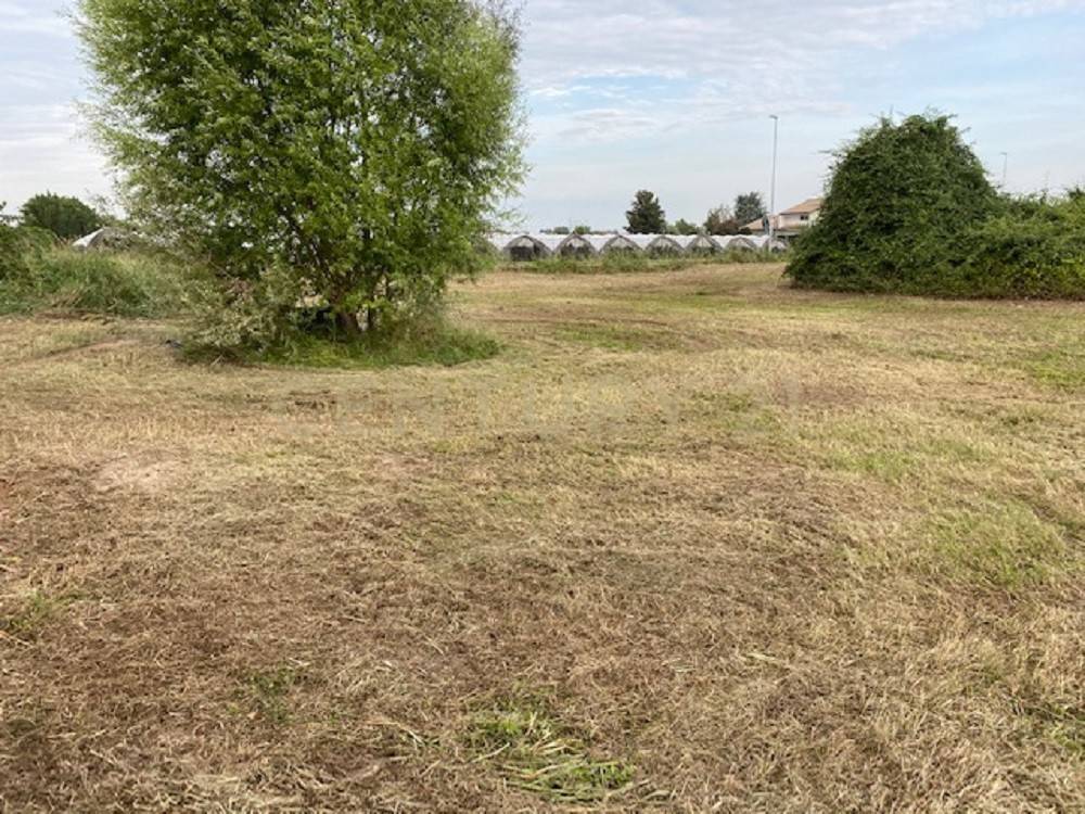 Terreno a Oppeano in Via Olmo - Foto 2