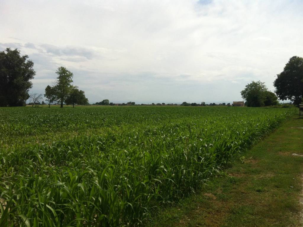 Terreno a Ravenna in Via Ragone - Foto 2