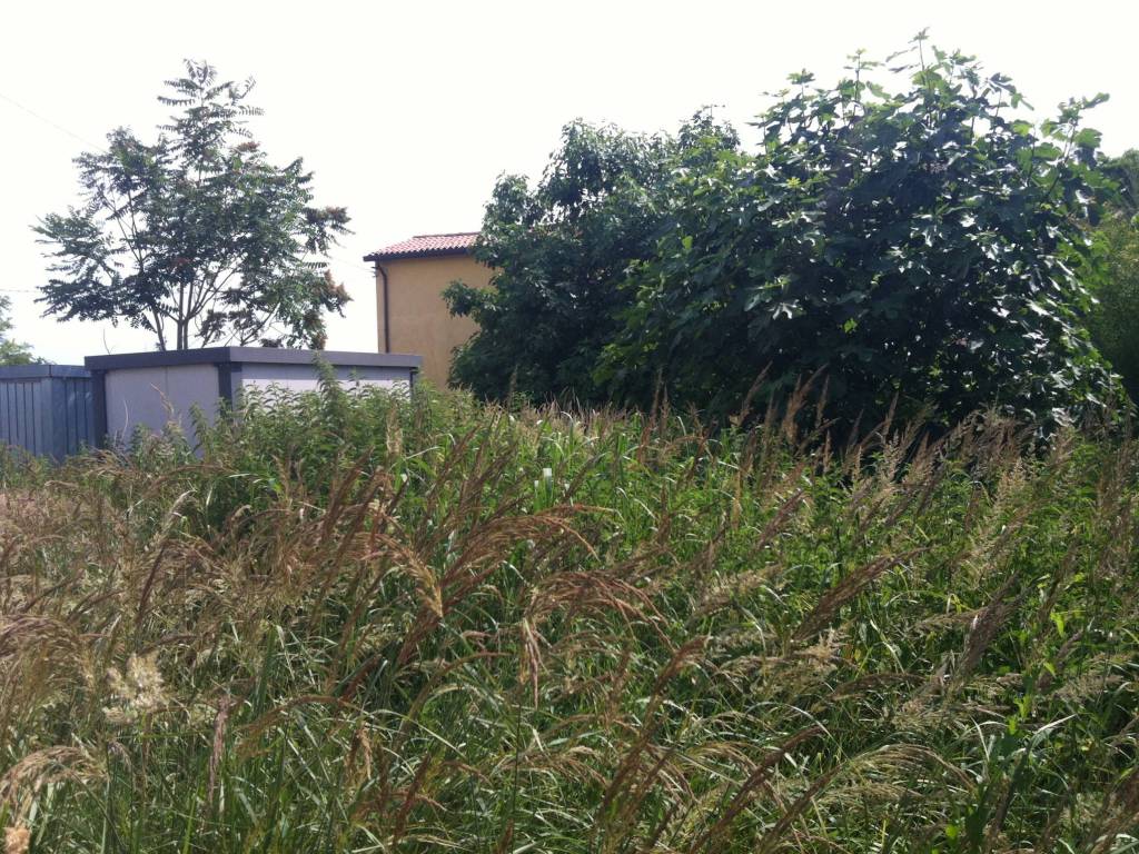 Terreno a Ravenna in Via Ragone - Foto 3