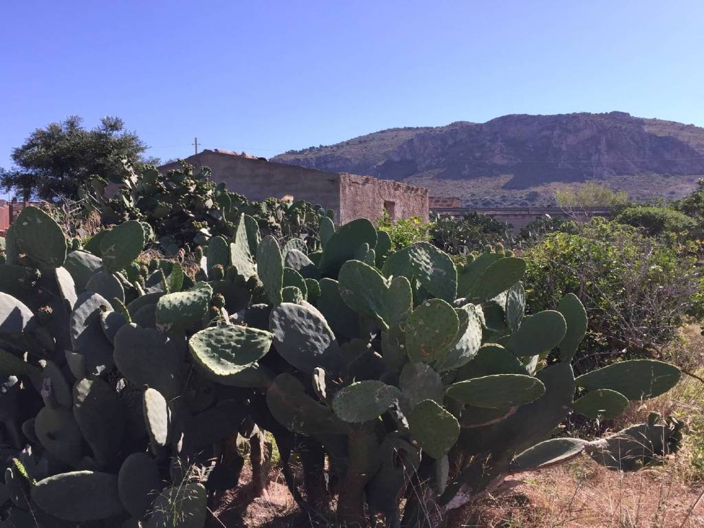 Terreno a Bagheria in Strada Comunale Sant'Isidoro, 11 - Foto 4
