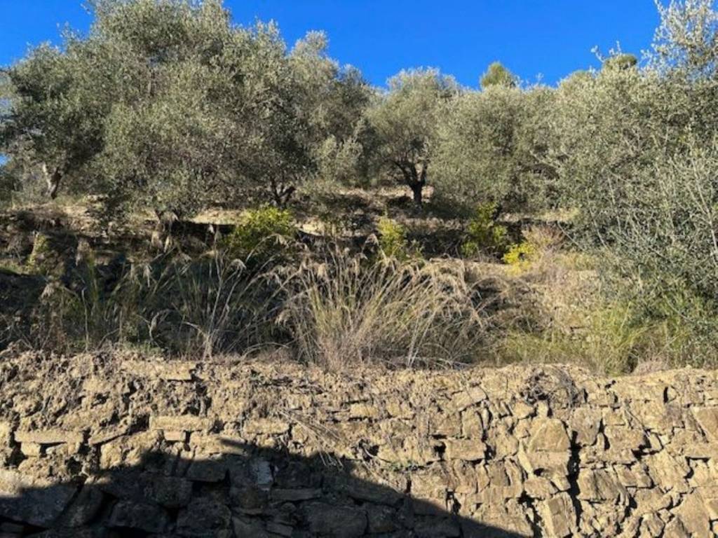 Terreno a Camporosso in Brunetti s.n.c - Foto 2