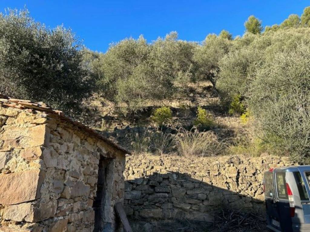 Terreno a Camporosso in Brunetti s.n.c - Foto 3