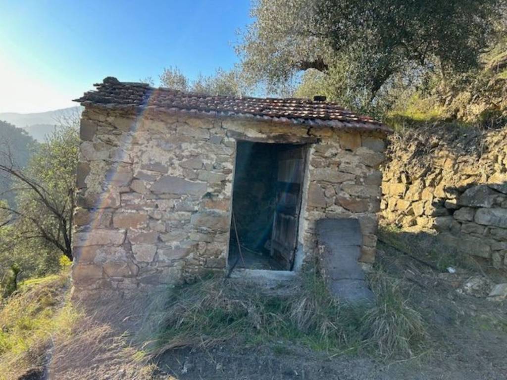Terreno a Camporosso in Brunetti s.n.c - Foto 5