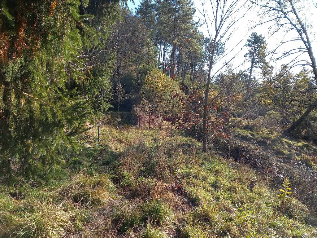 Villa a Carrodano in Località Canagreca, 1 - Foto 5