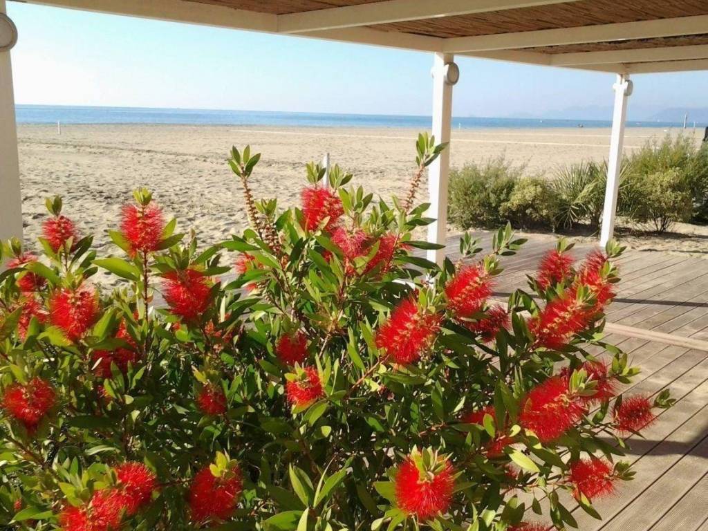 Villetta a schiera a Ameglia in Via P. Ratti, 44 - Foto 2
