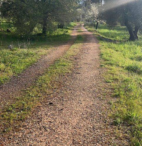 Rustico / casale a Ceglie messapica in Contrada Spasimato - Foto 3